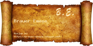 Brauer Emese névjegykártya